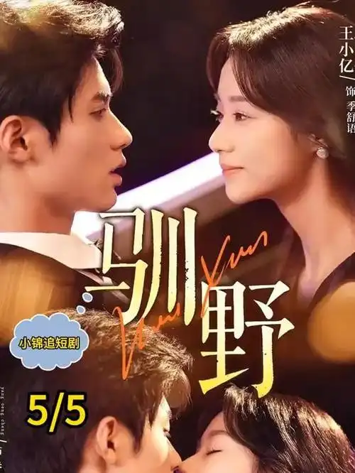 雾港谜案 热播电视剧全集排行榜